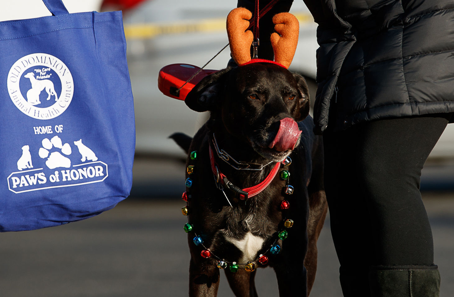 2019 McLean Reindog festivities